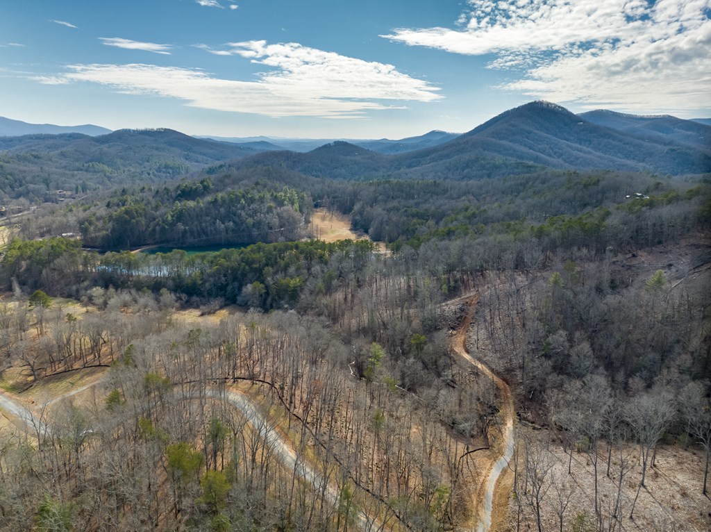 14 Bearden Farm Blue Ridge, GA 30513 - Photo 14 of 23