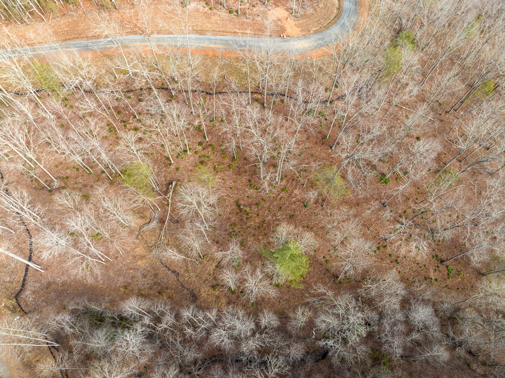 14 Bearden Farm Blue Ridge, GA 30513 - Photo 16 of 23