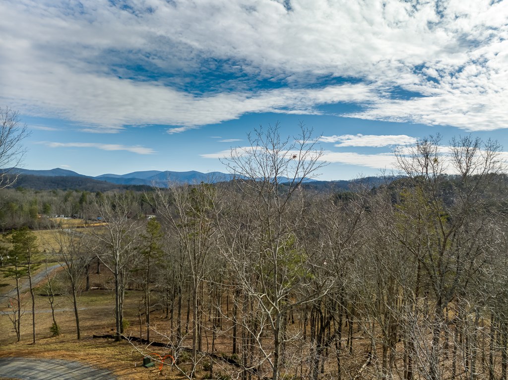 14 Bearden Farm Blue Ridge, GA 30513 - Photo 17 of 23