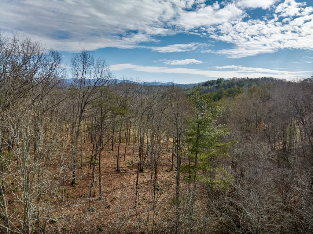 14 Bearden Farm Blue Ridge, GA 30513 - Photo 19 of 23