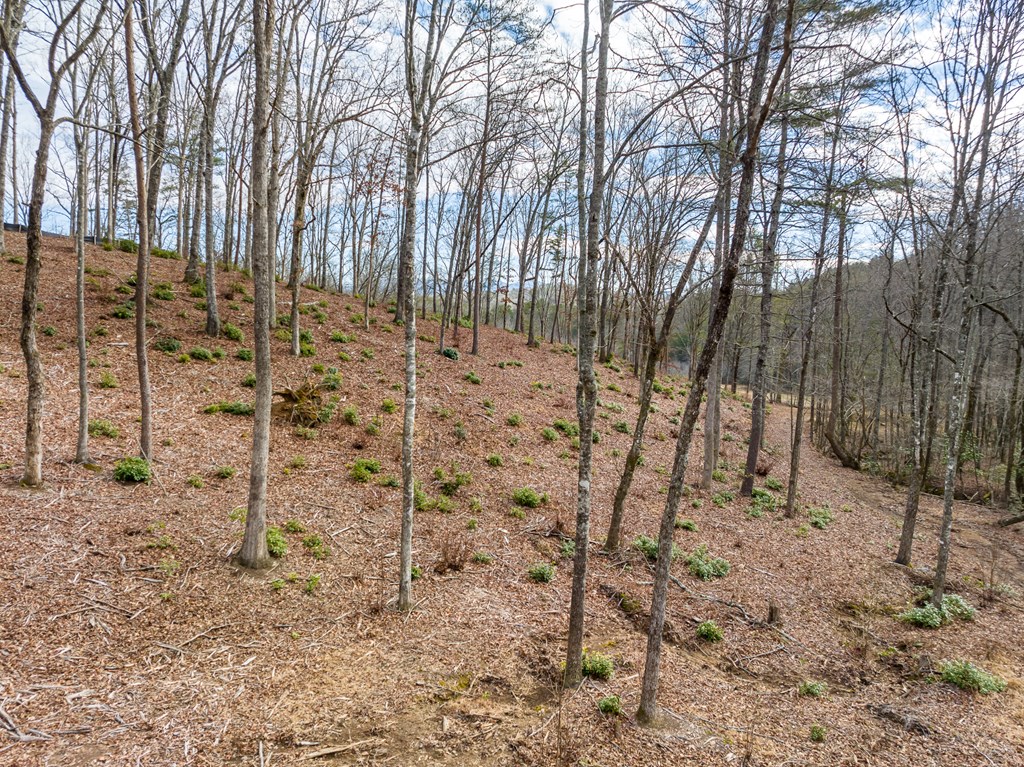 14 Bearden Farm Blue Ridge, GA 30513 - Photo 20 of 23