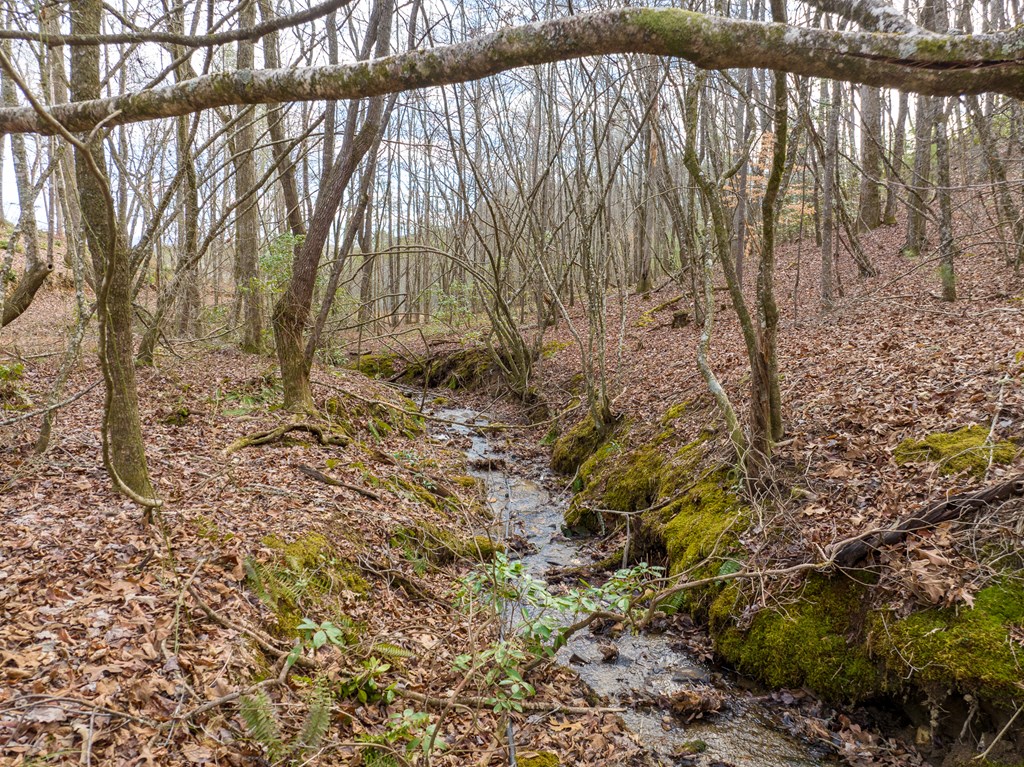 14 Bearden Farm Blue Ridge, GA 30513 - Photo 2 of 23
