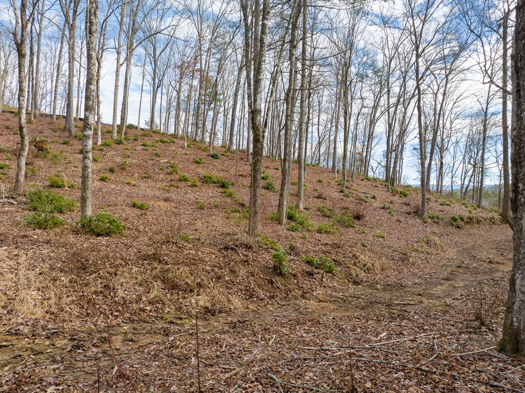 14 Bearden Farm Blue Ridge, GA 30513 - Photo 22 of 23