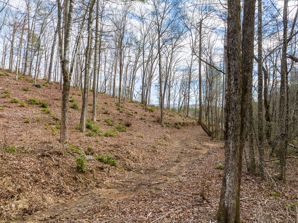 14 Bearden Farm Blue Ridge, GA 30513 - Photo 23 of 23