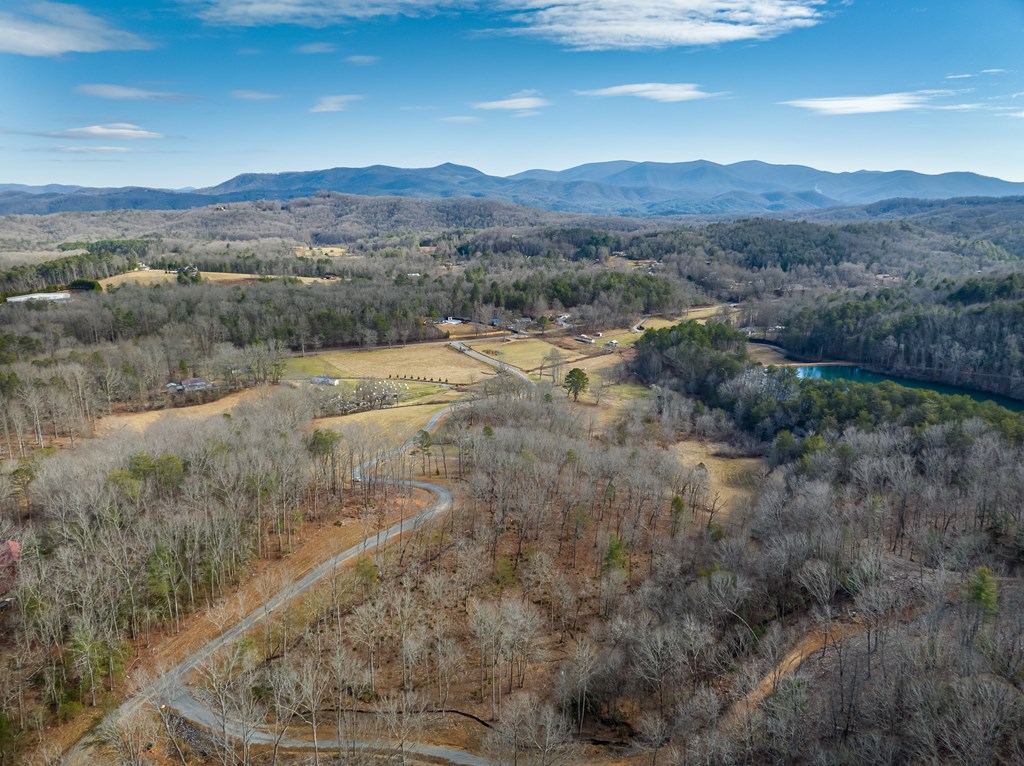 14 Bearden Farm Blue Ridge, GA 30513 - Photo 3 of 23