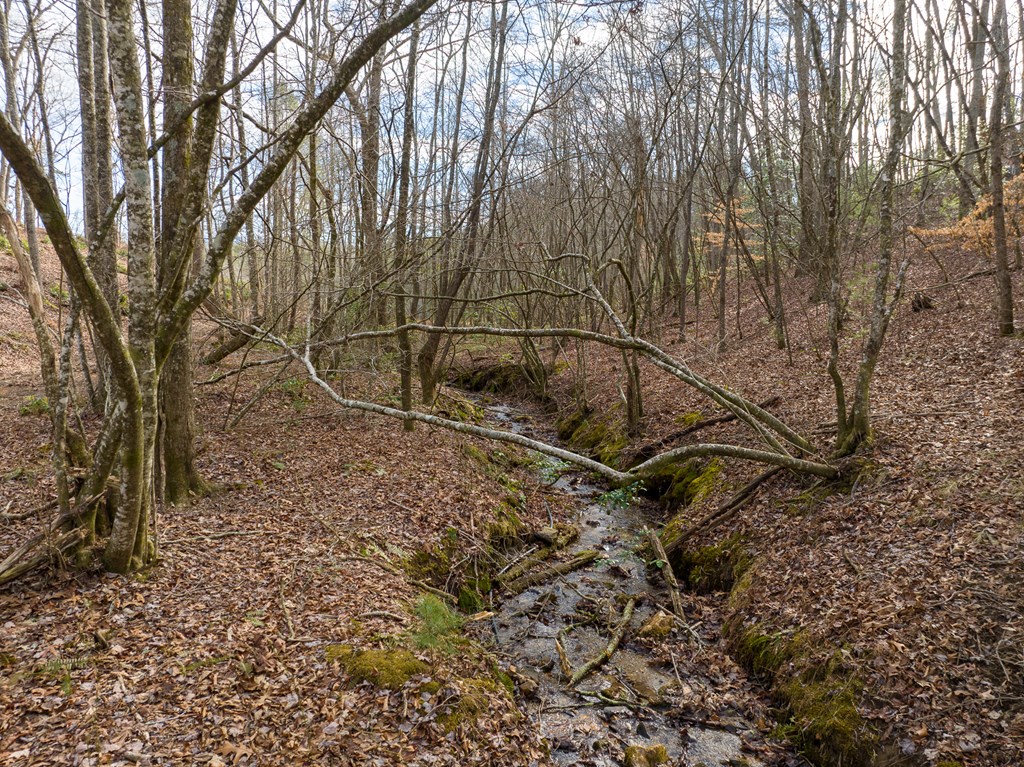 14 Bearden Farm Blue Ridge, GA 30513 - Photo 4 of 23