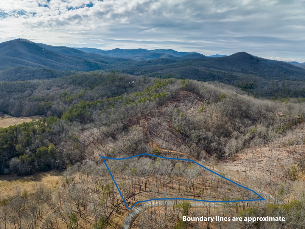 14 Bearden Farm Blue Ridge, GA 30513 - Photo 5 of 23