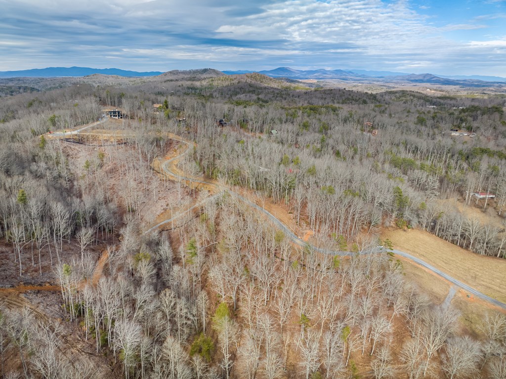 14 Bearden Farm Blue Ridge, GA 30513 - Photo 6 of 23