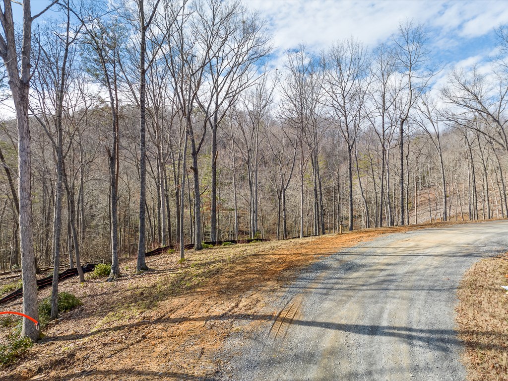 14 Bearden Farm Blue Ridge, GA 30513 - Photo 7 of 23