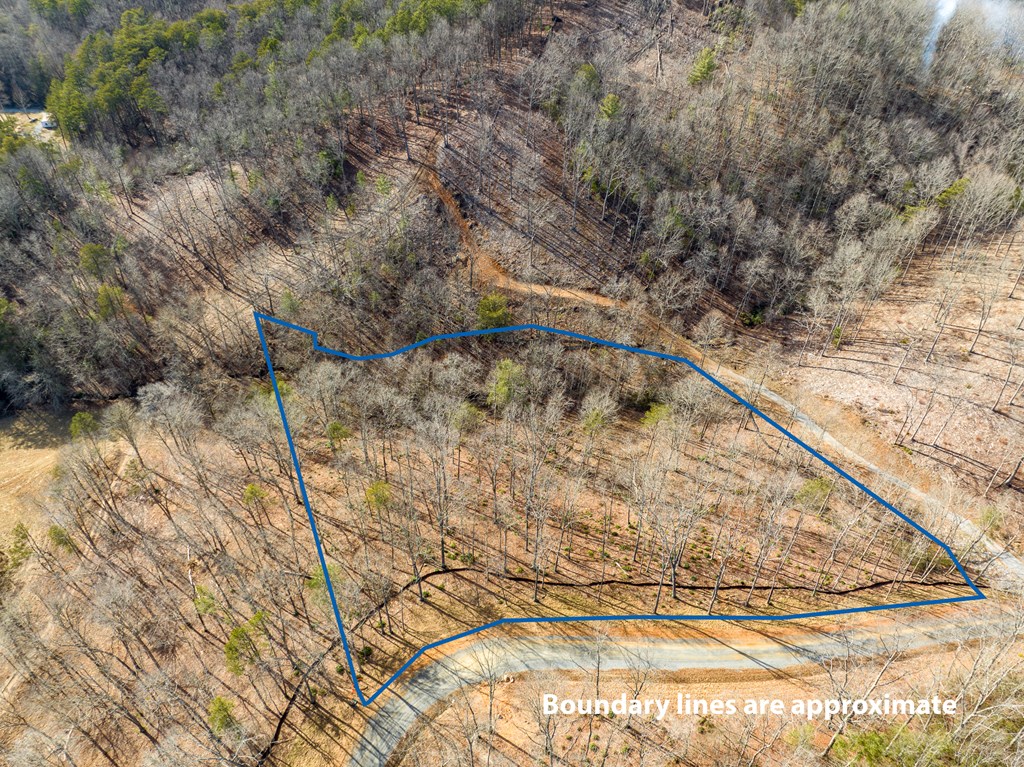 14 Bearden Farm Blue Ridge, GA 30513 - Photo 8 of 23