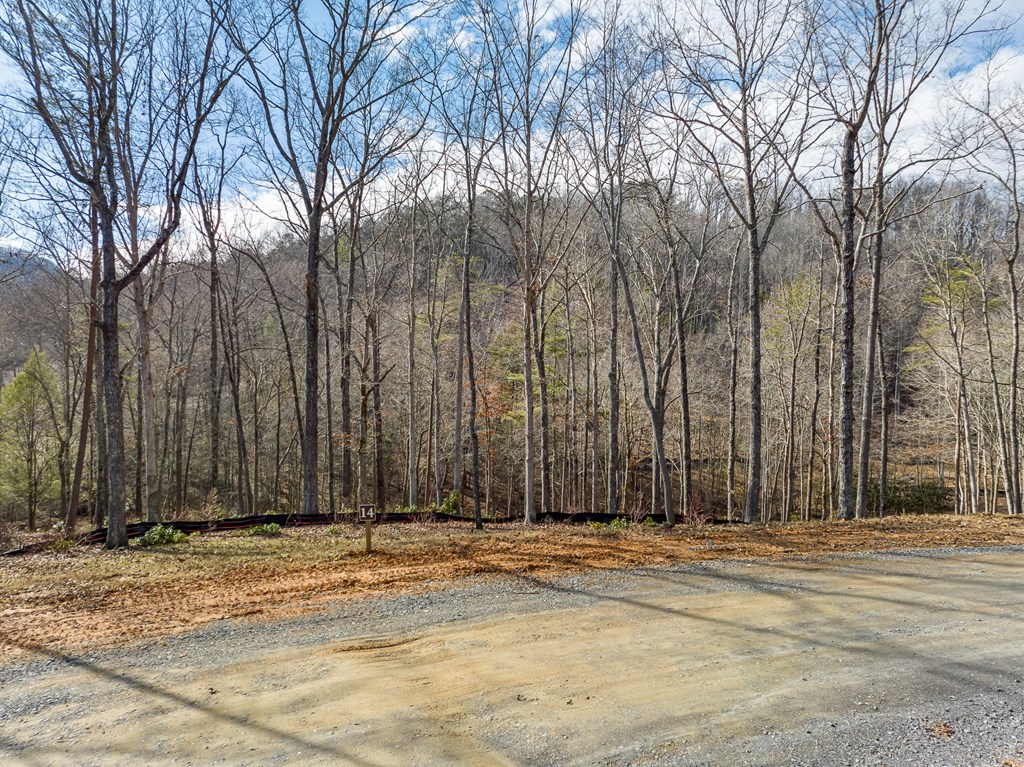 14 Bearden Farm Blue Ridge, GA 30513 - Photo 9 of 23