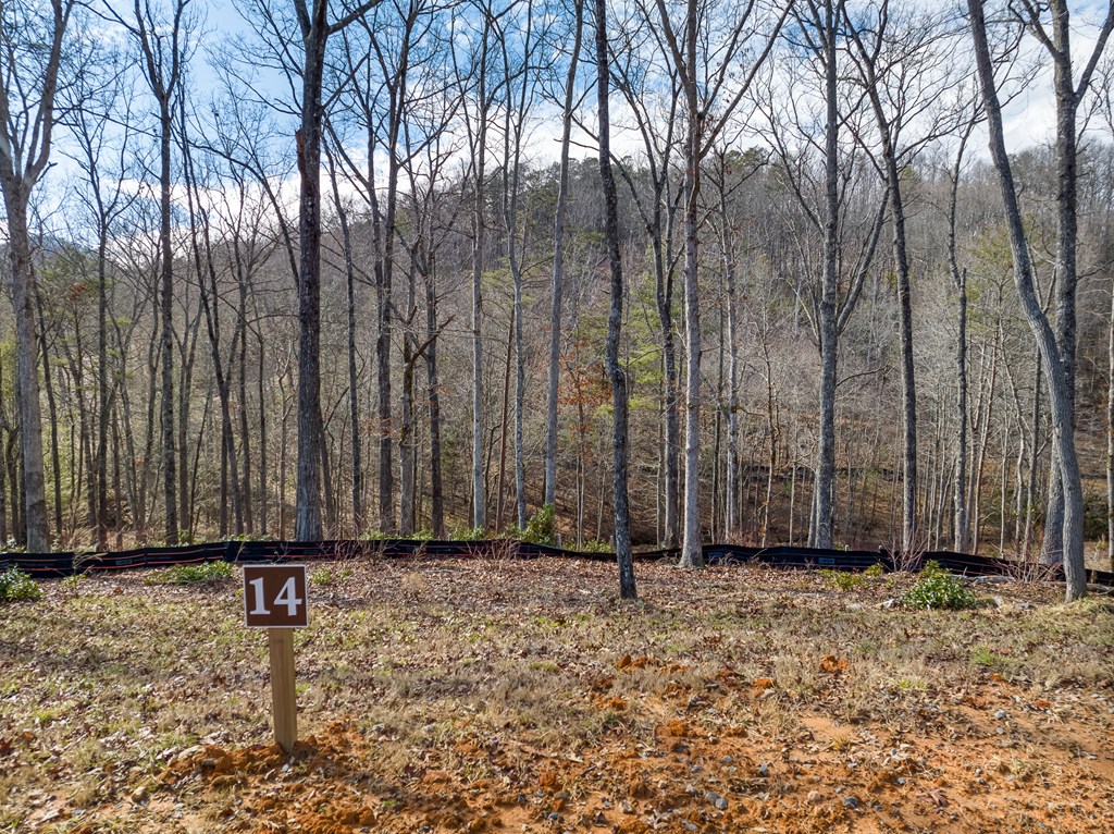 14 Bearden Farm Blue Ridge, GA 30513 - Photo 10 of 23