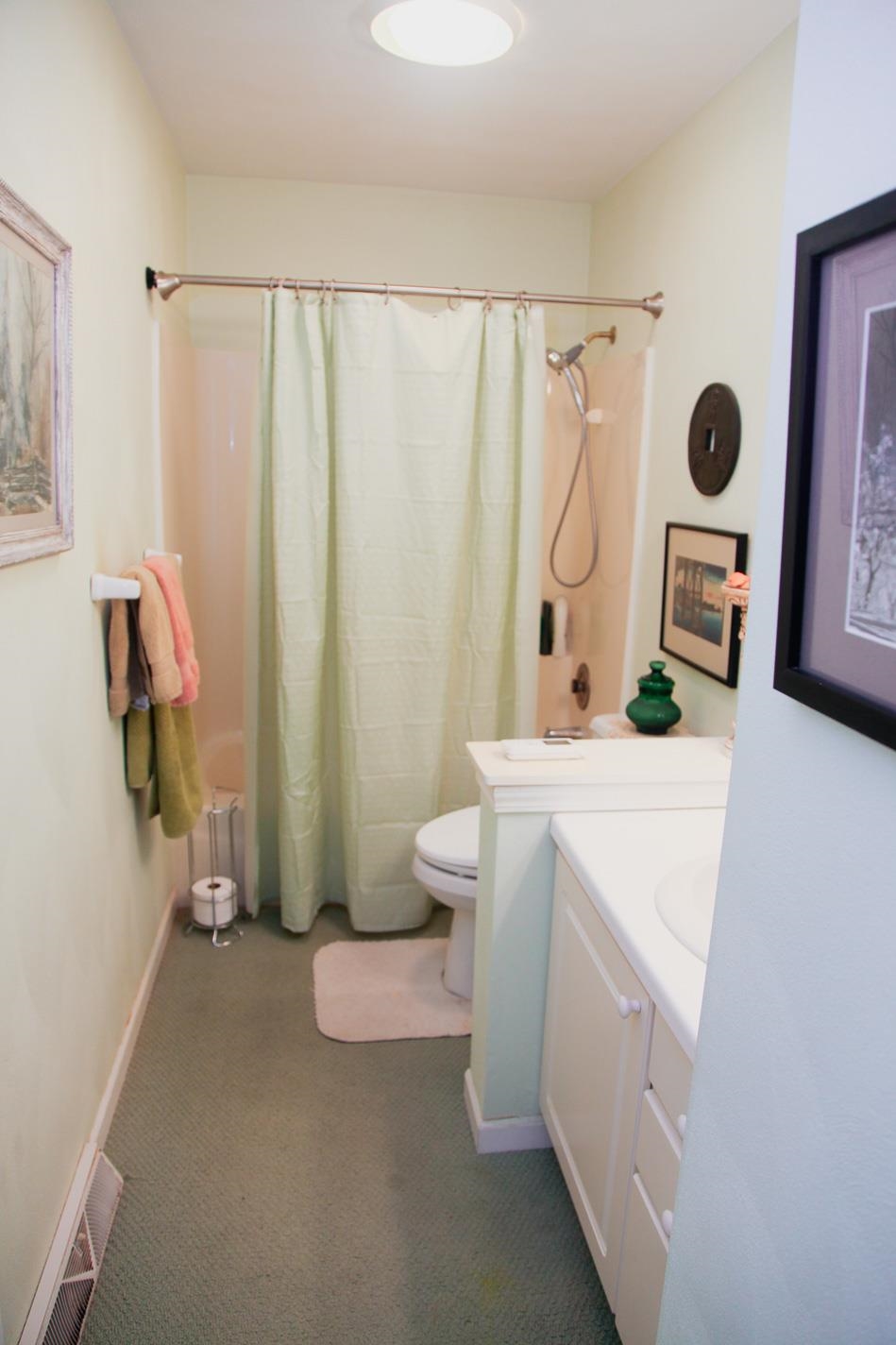 3001 Countryside Lane Freeport, IL 61032 - Photo 12 of 47 a bathroom with a sink a toilet and shower curtain