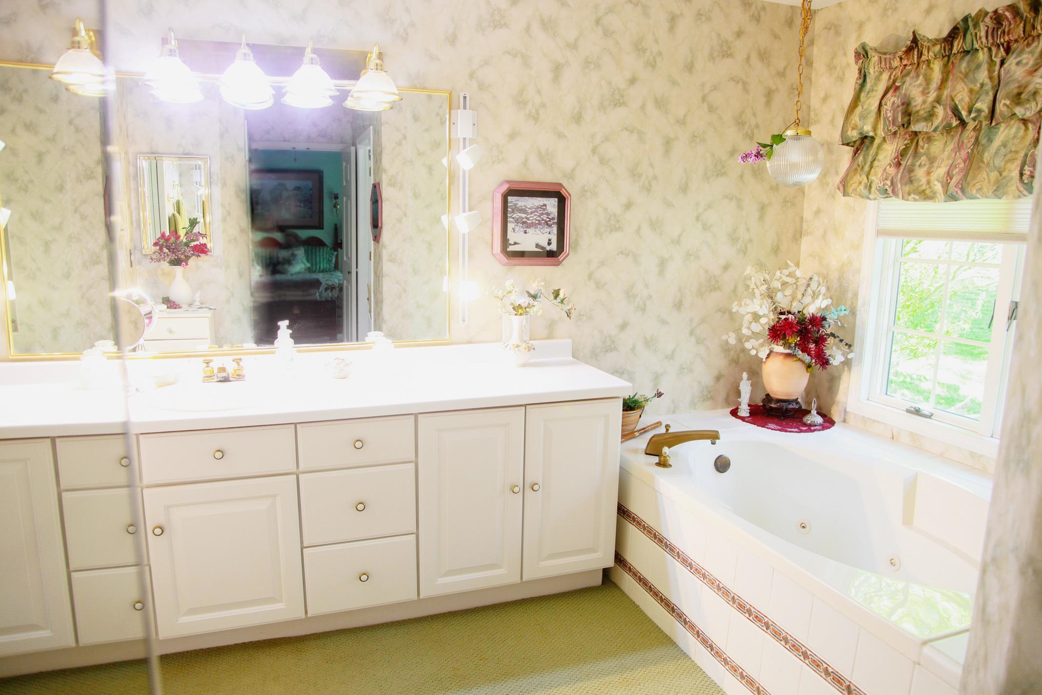 3001 Countryside Lane Freeport, IL 61032 - Photo 20 of 47 a bathroom with a sink and a mirror