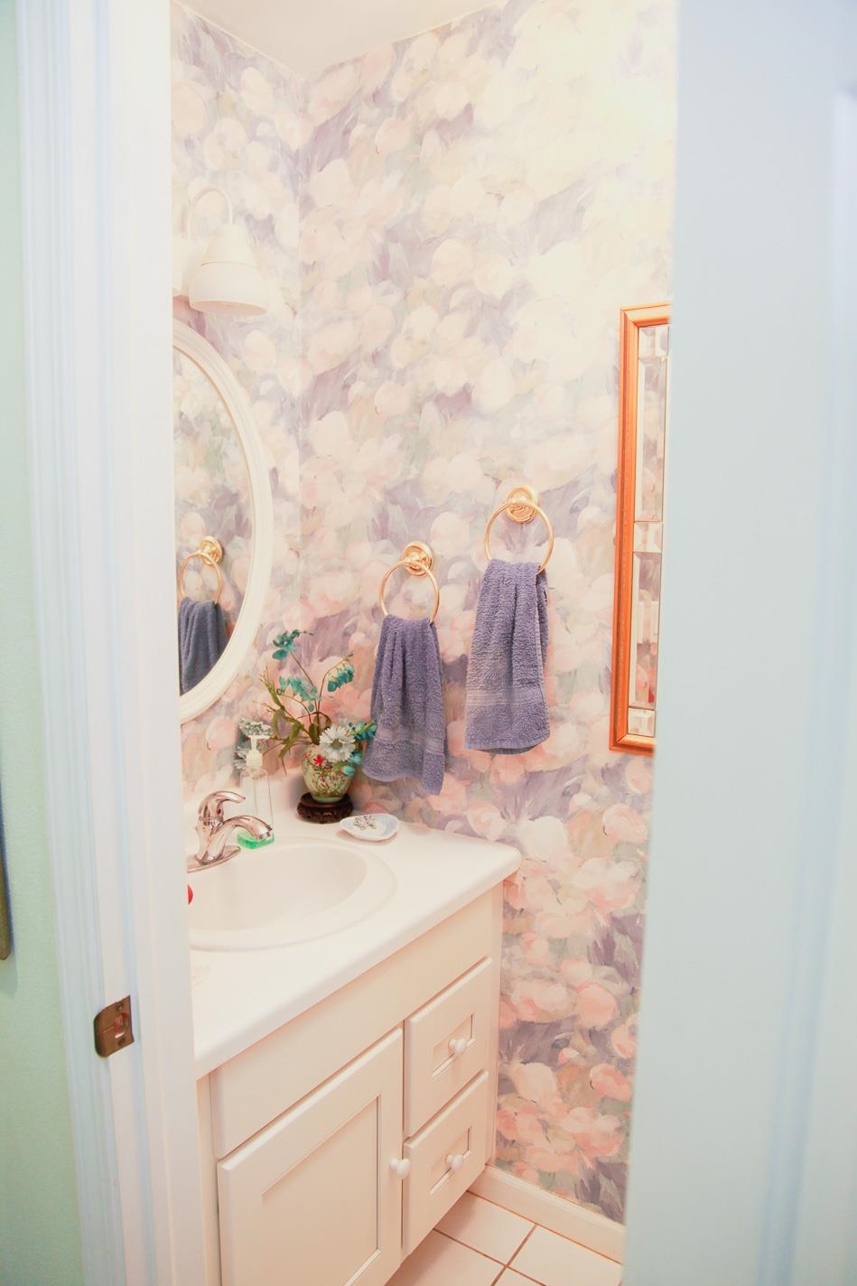 3001 Countryside Lane Freeport, IL 61032 - Photo 30 of 47 a bathroom with a sink and a mirror
