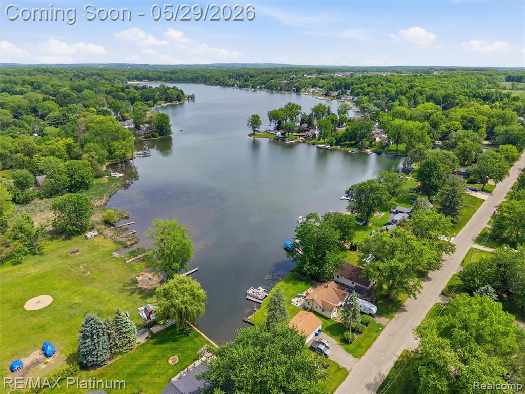 6335 Silver Lake Road Linden, MI 48451 - Photo 56 of 61
