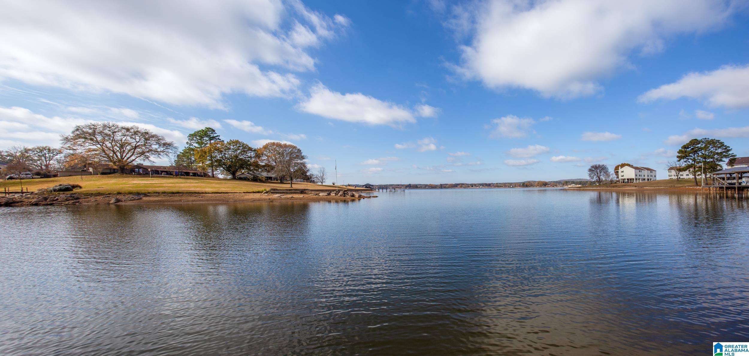1610 Pine Harbor Road Pell City, AL 35128 - Photo 4 of 46 Gallery Image 4