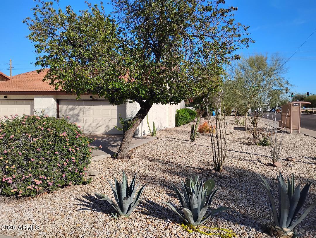 4343 East Osborn Road Phoenix, AZ 85018 - Photo 38 of 41 a view of outdoor space yard and patio