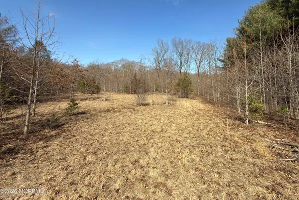 a view of a yard with trees in the background