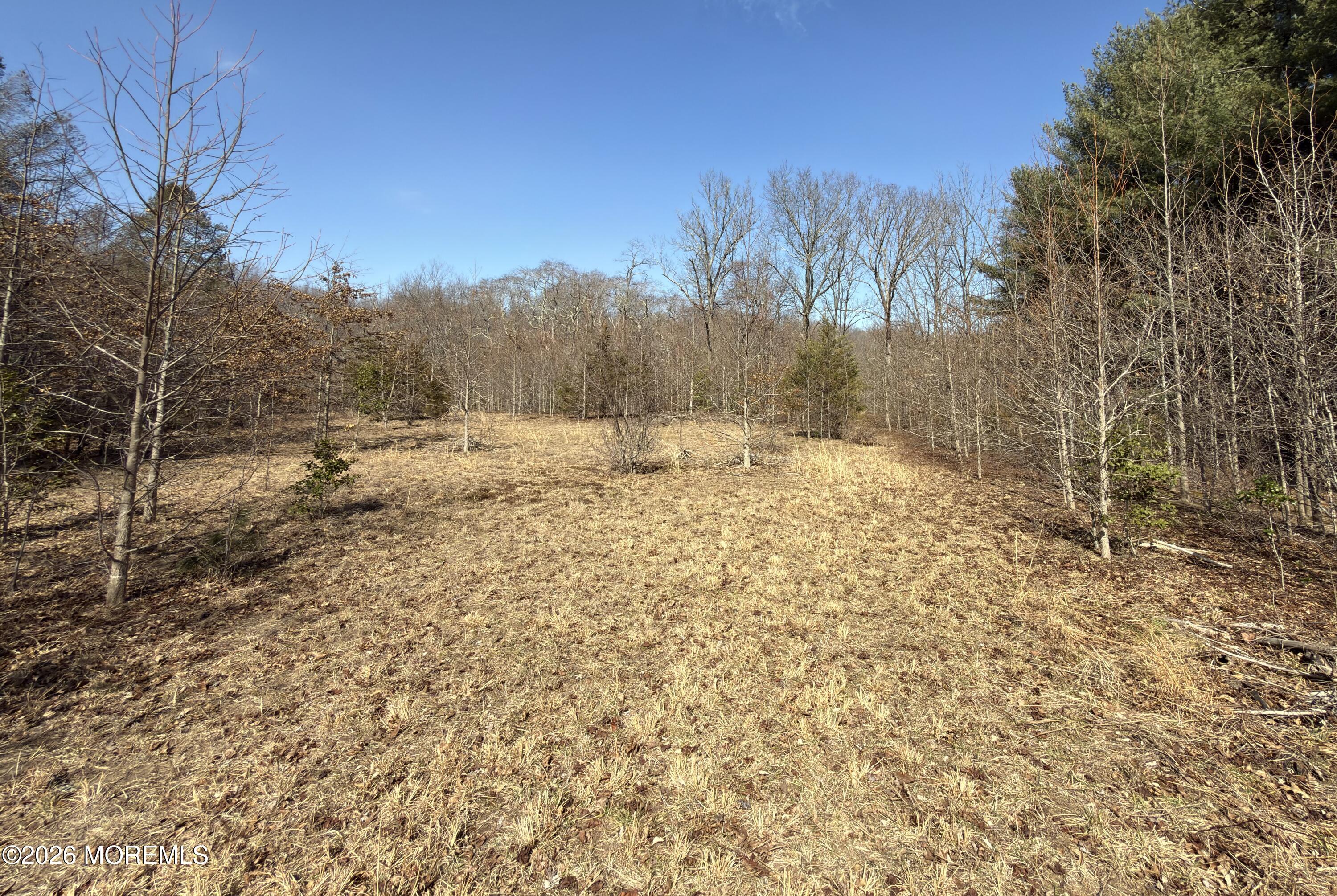 327 Sharon Road Hightstown, NJ 08520 - Photo 3 of 7 a view of a yard with trees in the background