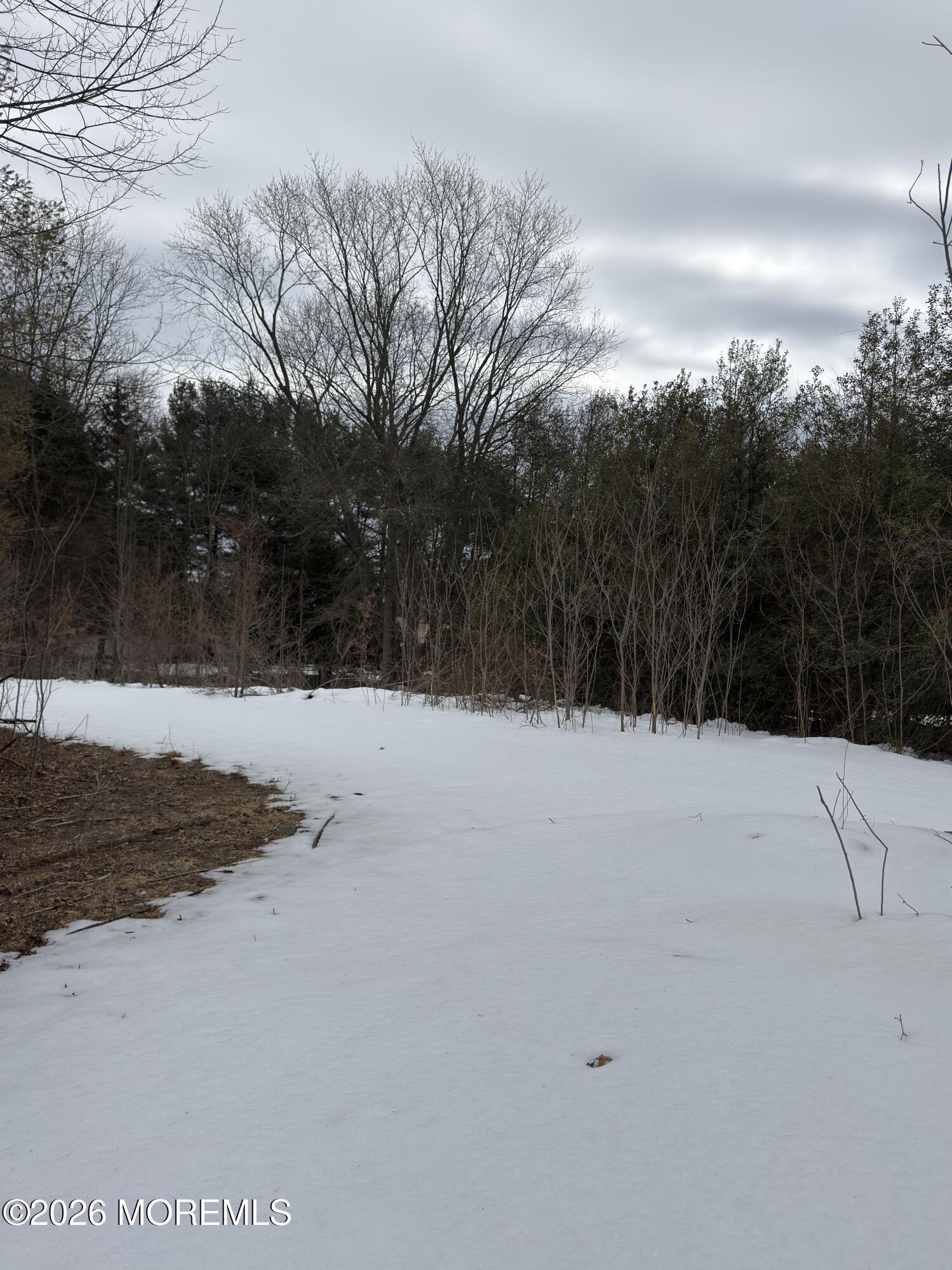 327 Sharon Road Hightstown, NJ 08520 - Photo 4 of 7 a view of snow covered with snow