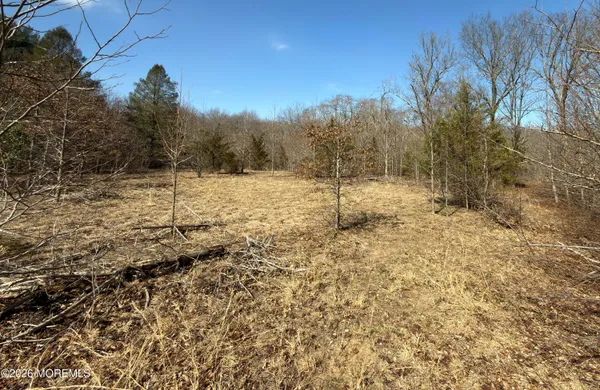 a view of a yard with trees in the background
