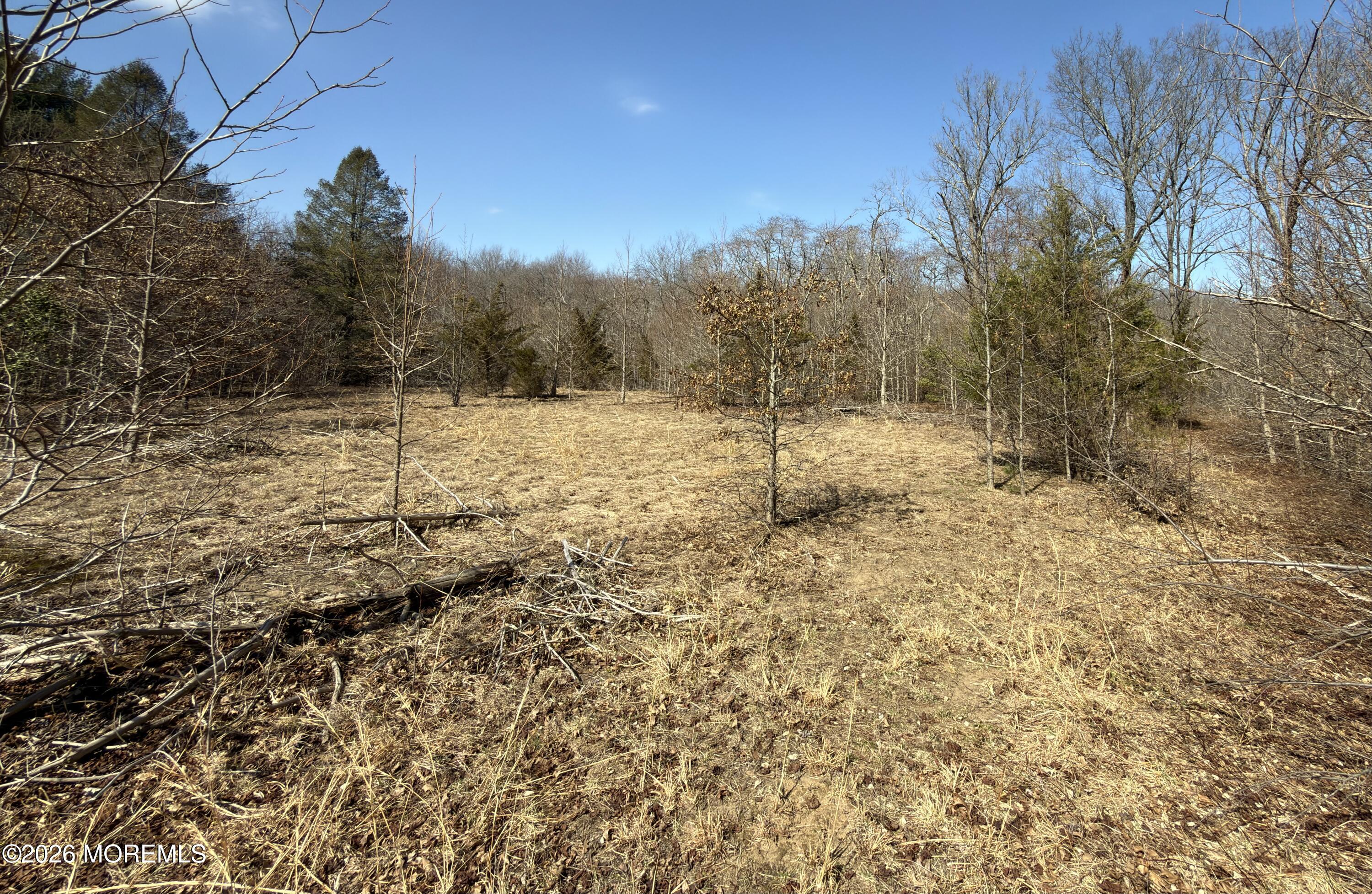 327 Sharon Road Hightstown, NJ 08520 - Photo 6 of 7 a view of a yard with trees in the background