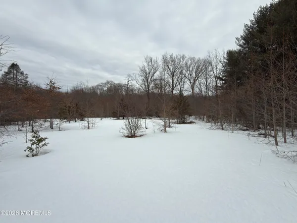 a view of snow on the road
