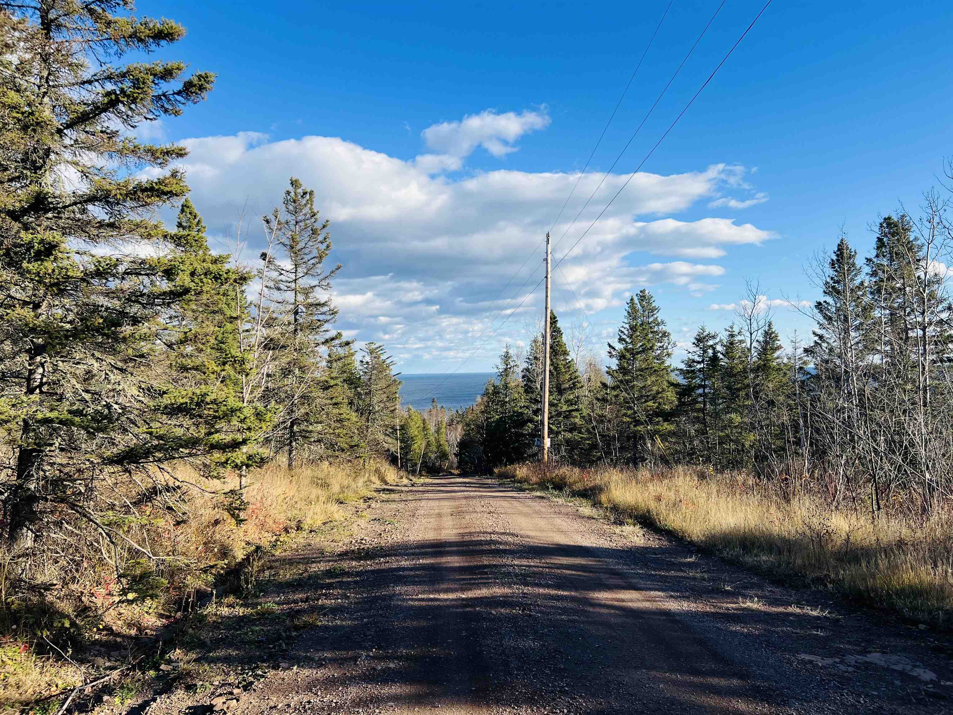 118 Rollins Ridge Tofte, MN 55615 - Photo 18 of 18 Access road features a forest and Lk Superior view