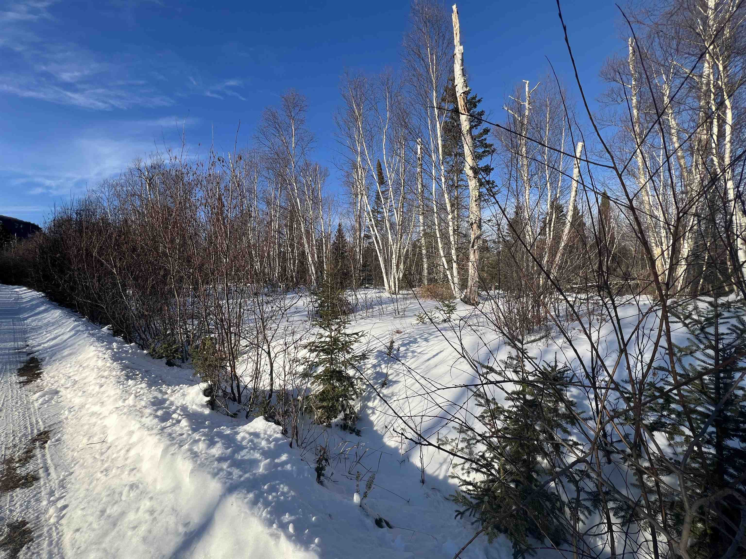 118 Rollins Ridge Tofte, MN 55615 - Photo 3 of 18 View of yard layered in snow
