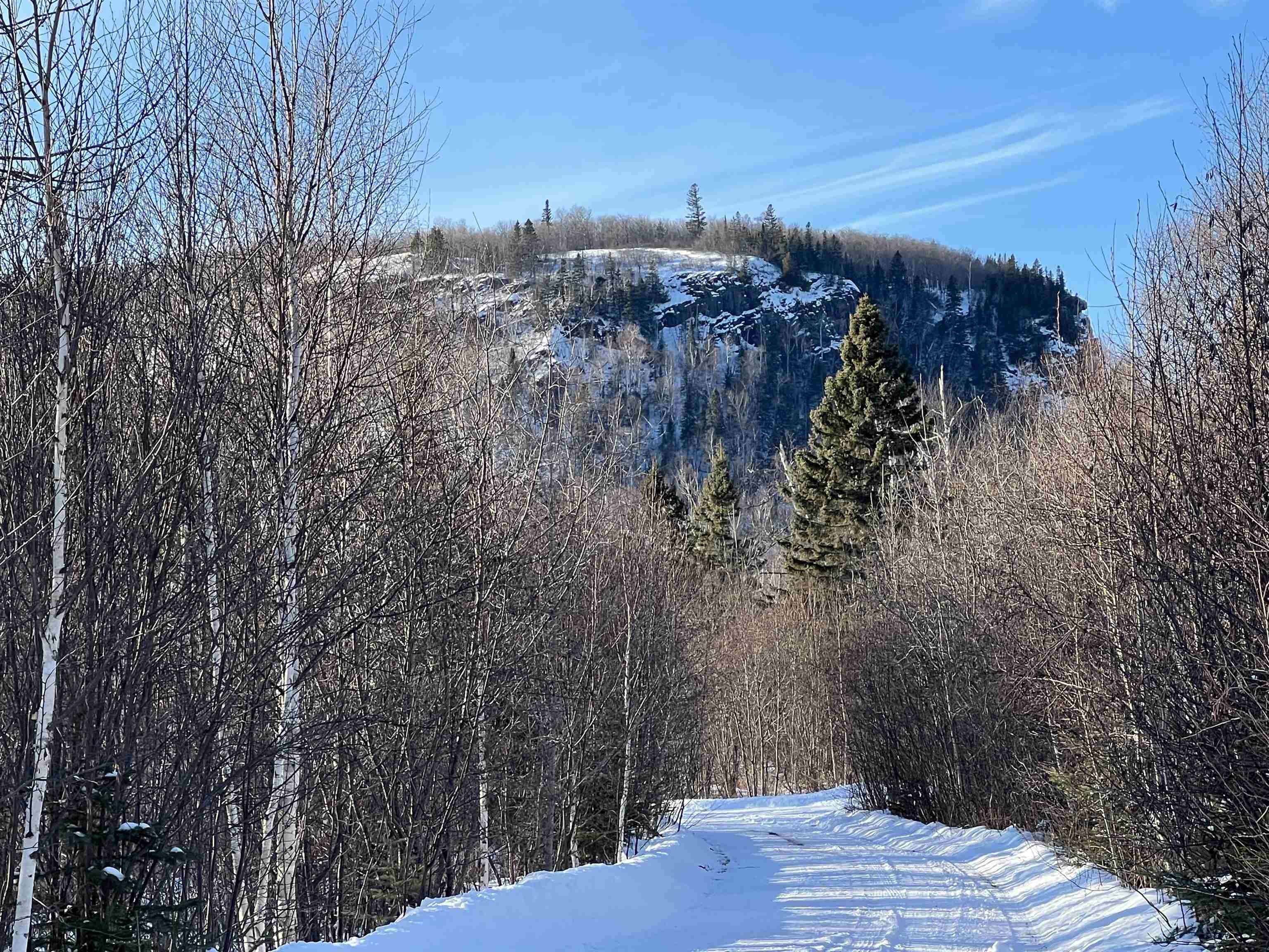 118 Rollins Ridge Tofte, MN 55615 - Photo 4 of 18 Olberg Mountain
