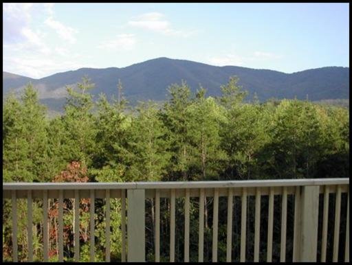 200 Lower Smithfield Road, Unit 649 Tellico Plains, TN 37385 - Photo 15 of 36 Additional Photo