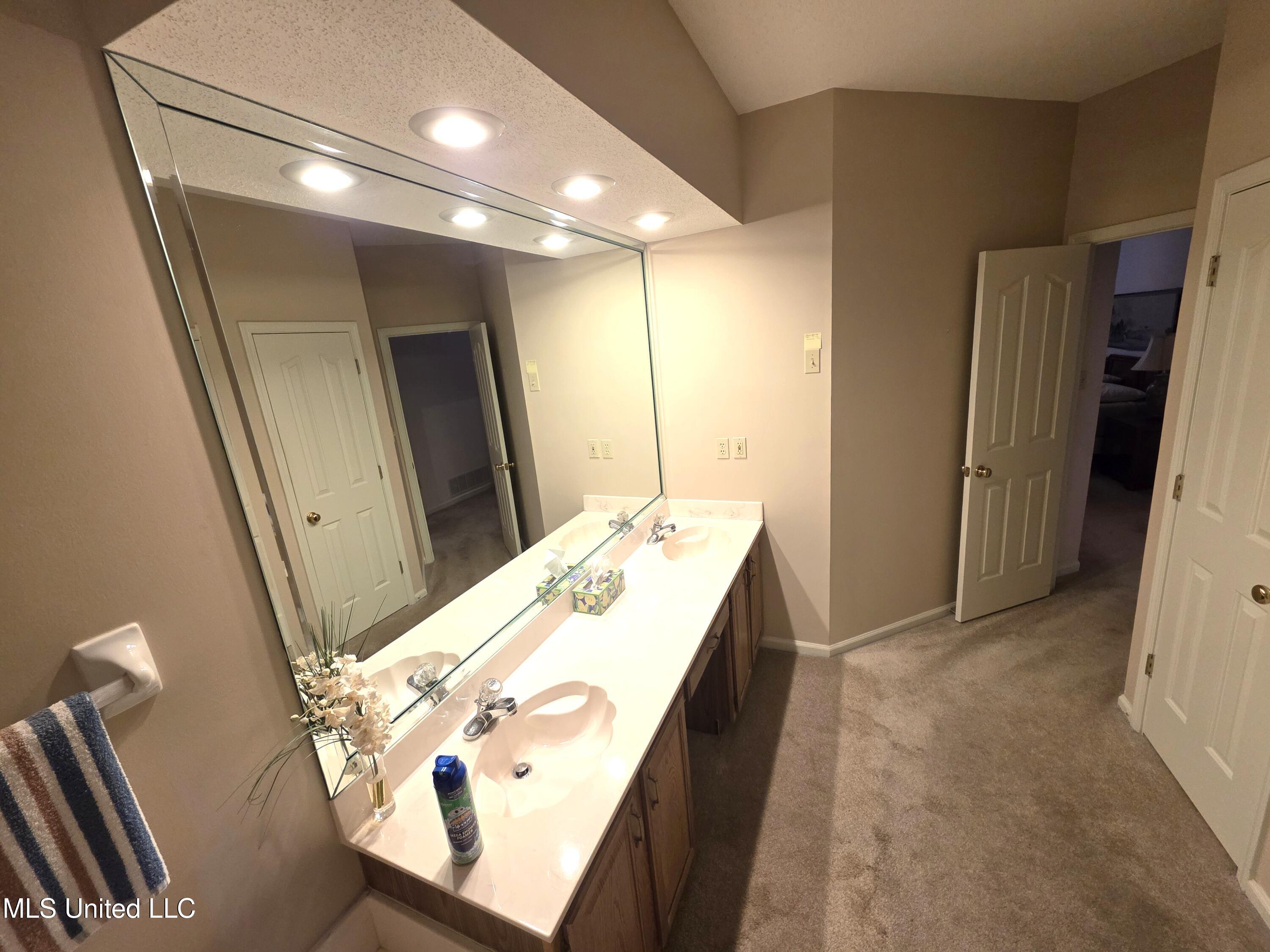 8318 Waverly Cove Olive Branch, MS 38654 - Photo 12 of 32 Primary Bathroom 01