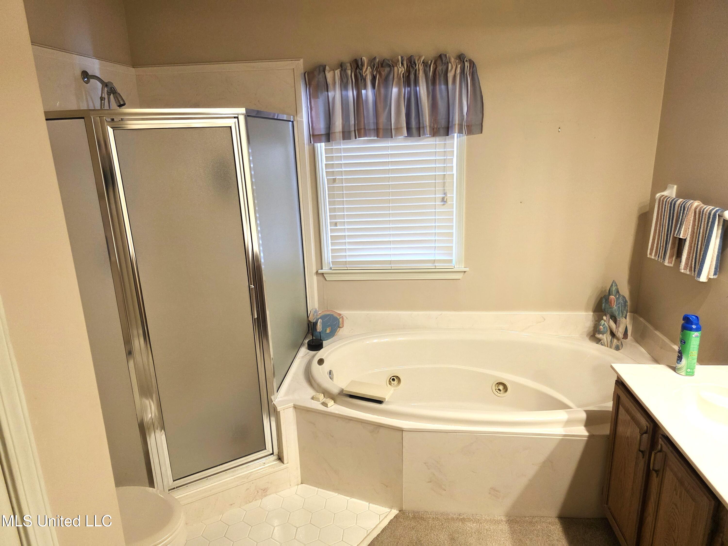 8318 Waverly Cove Olive Branch, MS 38654 - Photo 13 of 32 Primary Bathroom 02