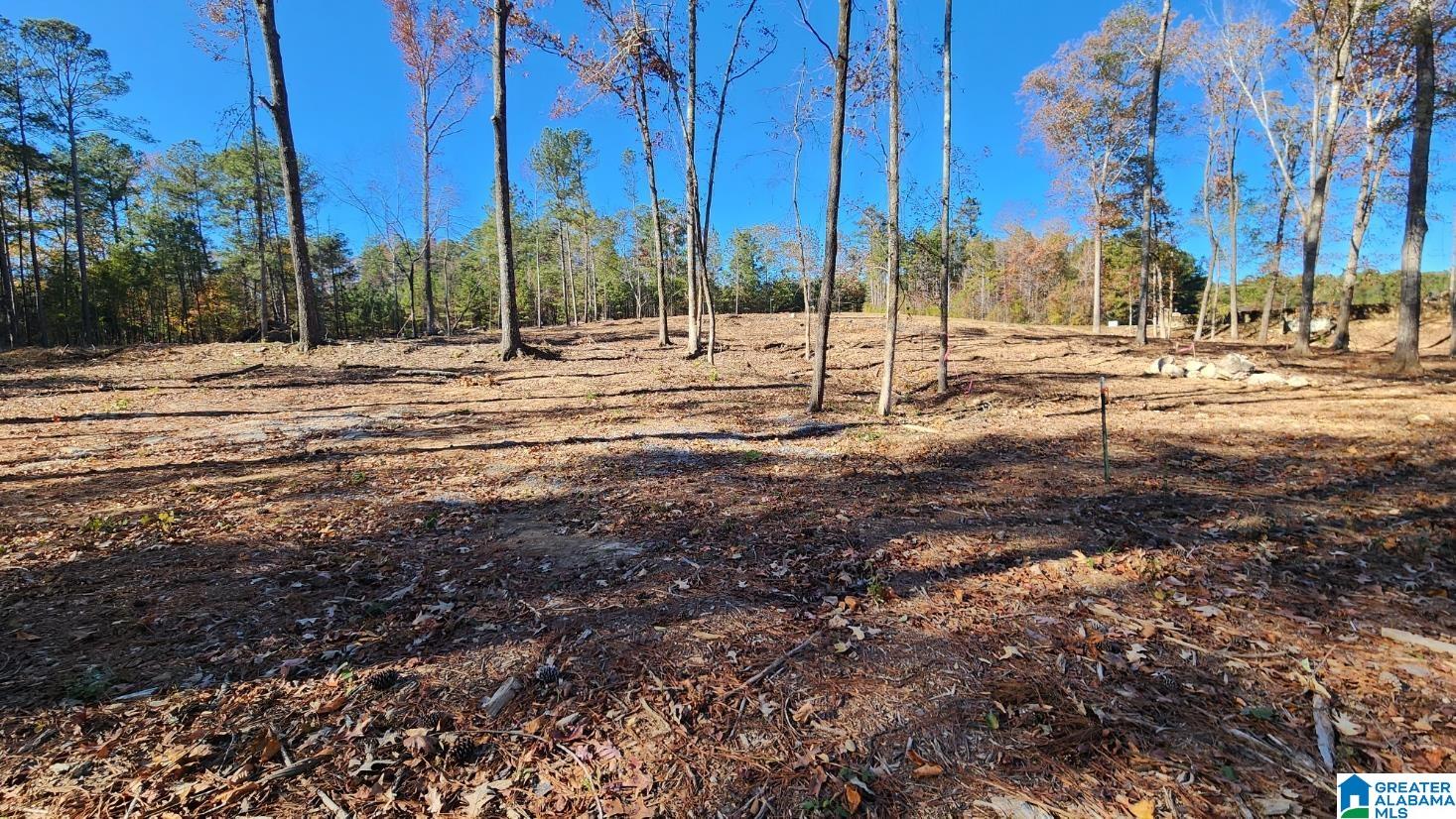 0 Bells Lane, Unit 22 Vincent, AL 35178 - Photo 7 of 12