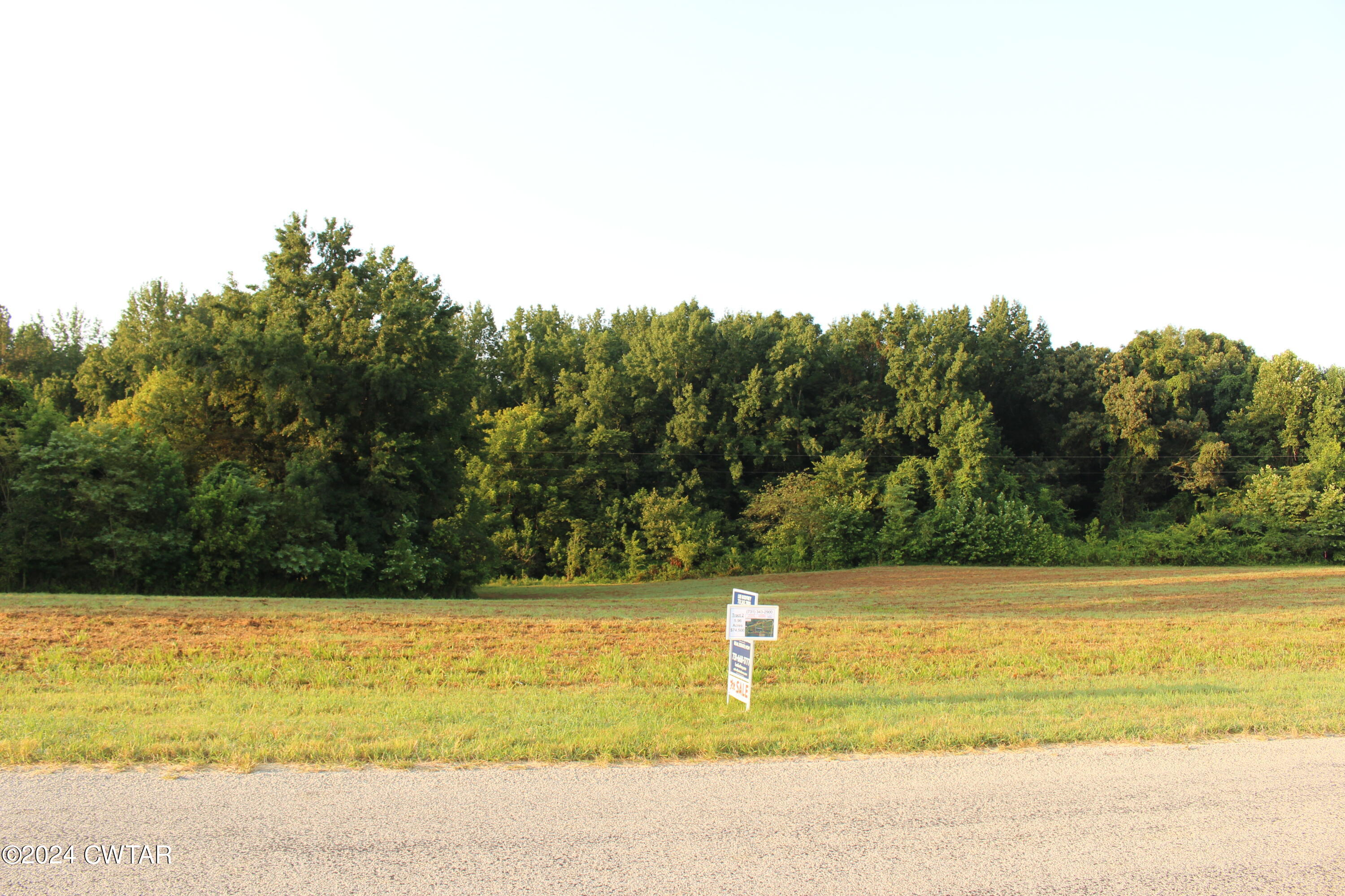 2 Ebenezer Road Mercer, TN 38392 - Photo 8 of 11 2b