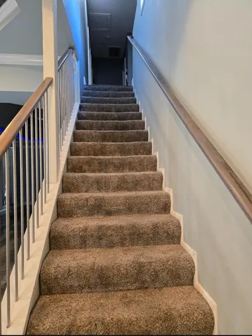 a view of backyard with a garden and plants