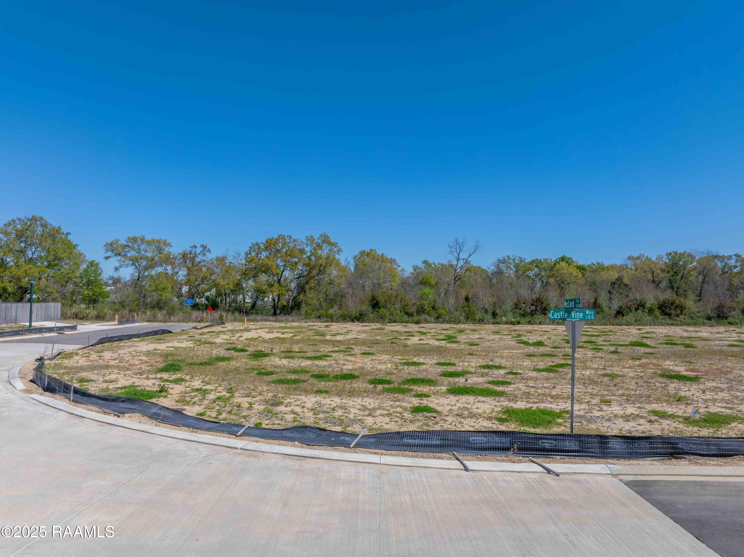 101 Castle Row Lafayette, LA 70506 - Photo 5 of 11 101CastleVineWay-1