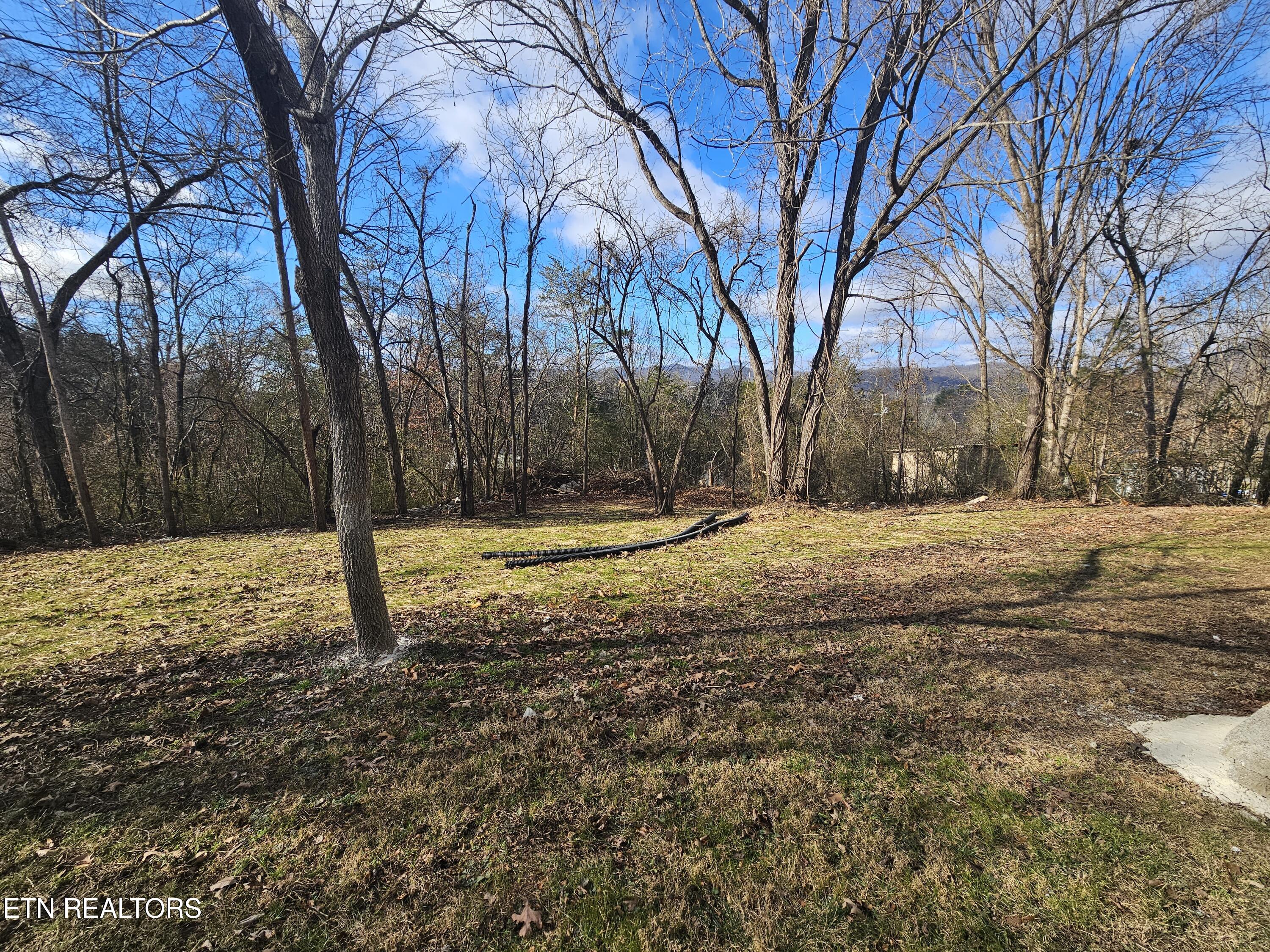 144 Stratford Road Harrogate, TN 37752 - Photo 3 of 7 20251230_115812