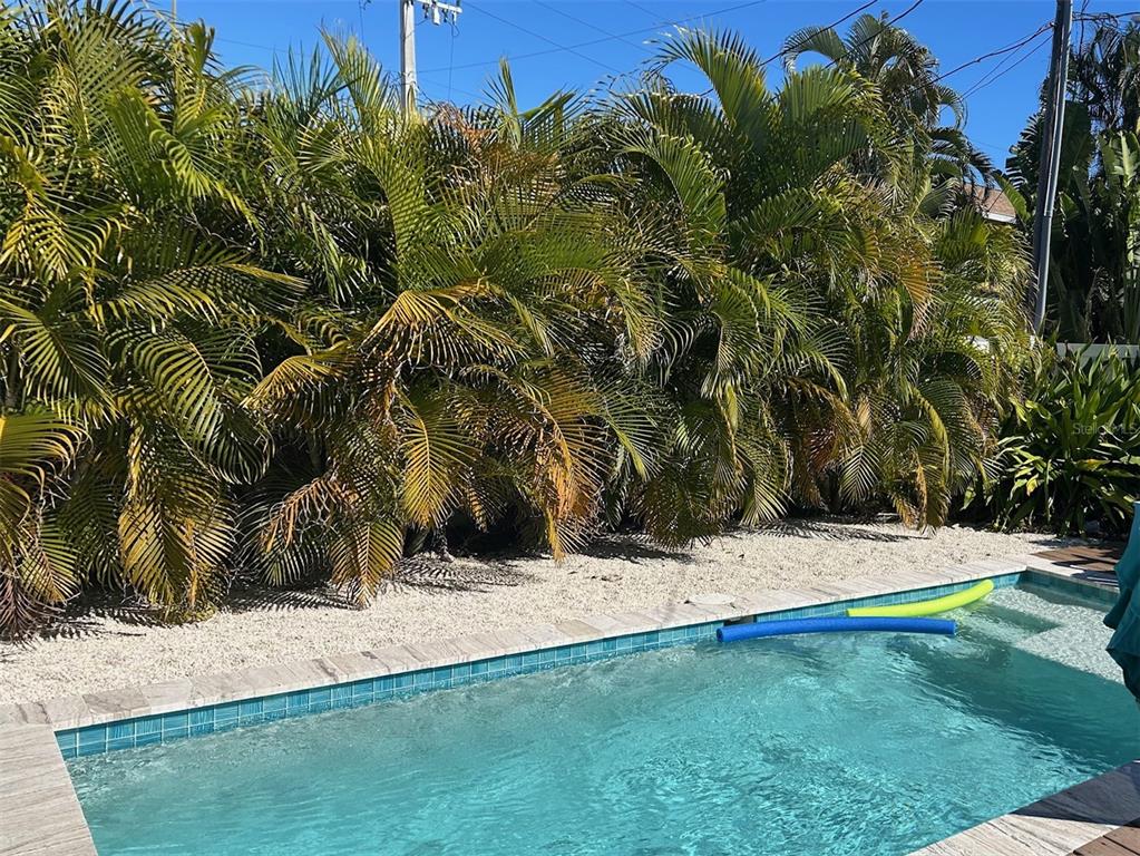 311 63rd Street Holmes Beach, FL 34217 - Photo 6 of 31