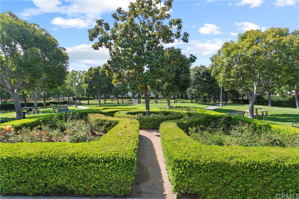 44 Modesto Irvine, CA 92602 - Photo 28 of 35 a view of a park with large trees