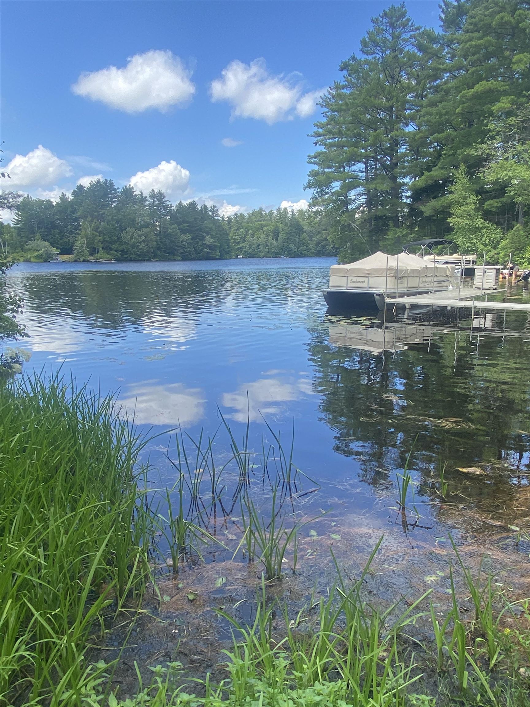 1018 Highway 123 Stoddard, NH 03464 - Photo 10 of 14