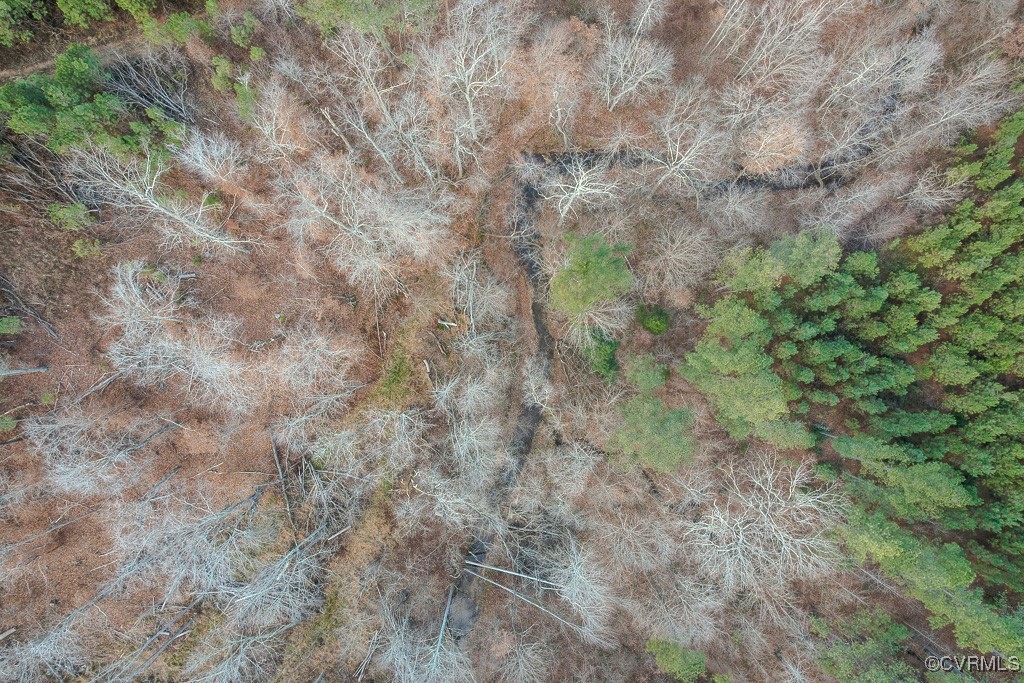Tbd Perkins Mill Road Dillwyn, VA 23936 - Photo 11 of 21 Drone / aerial view