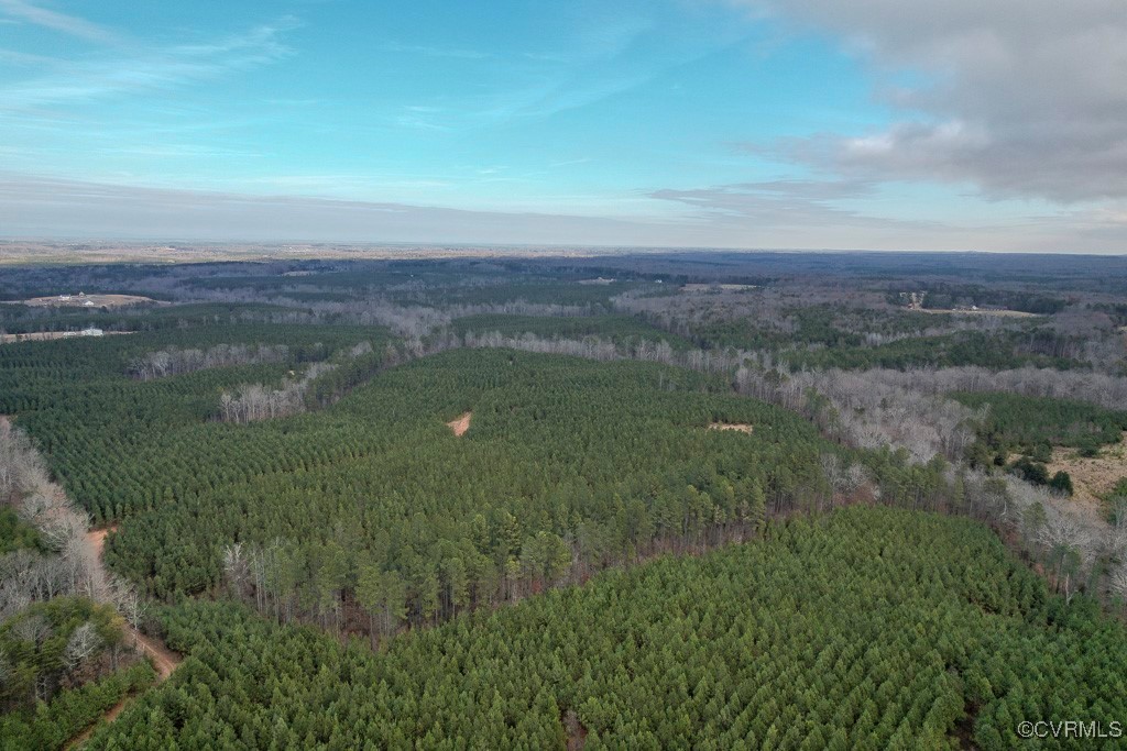 Tbd Perkins Mill Road Dillwyn, VA 23936 - Photo 12 of 21 Drone / aerial view of a forest