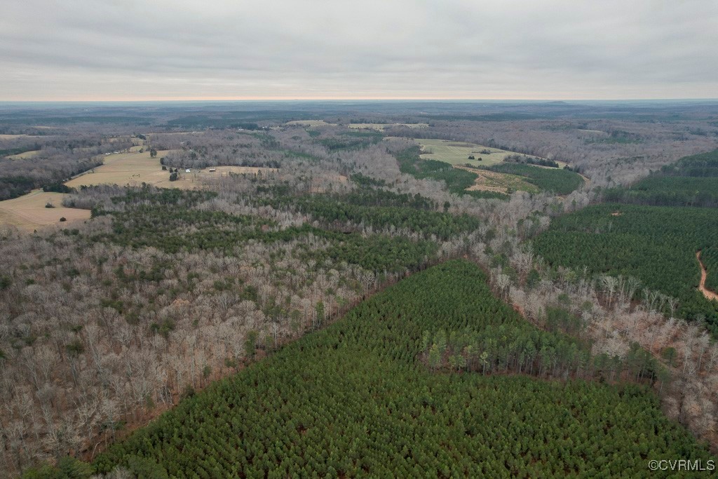 Tbd Perkins Mill Road Dillwyn, VA 23936 - Photo 14 of 21 Aerial overview of property's location with a heav