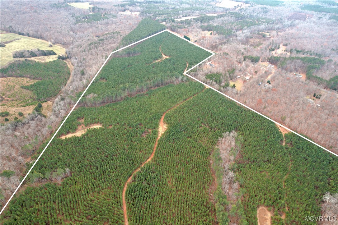 Tbd Perkins Mill Road Dillwyn, VA 23936 - Photo 15 of 21 View of property location featuring a heavily wood