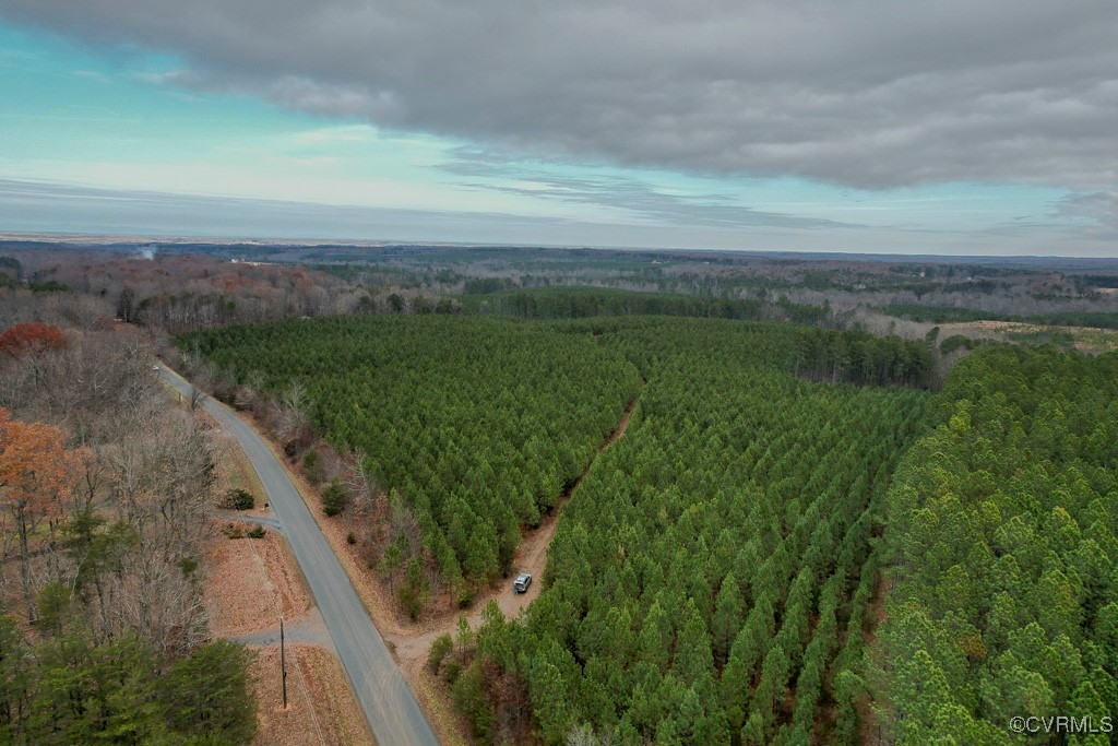 Tbd Perkins Mill Road Dillwyn, VA 23936 - Photo 16 of 21 View of property location featuring a heavily wood