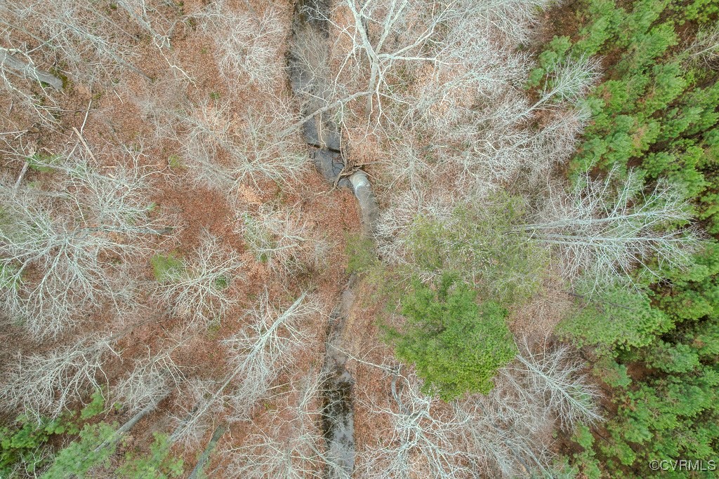 Tbd Perkins Mill Road Dillwyn, VA 23936 - Photo 18 of 21 View of nature