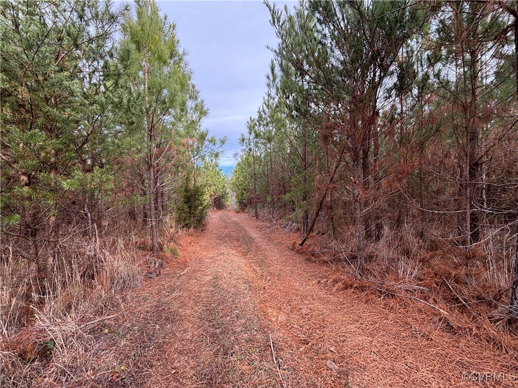Tbd Perkins Mill Road Dillwyn, VA 23936 - Photo 20 of 21 View of road