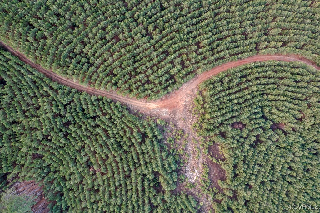 Tbd Perkins Mill Road Dillwyn, VA 23936 - Photo 2 of 21 Aerial view of property's location